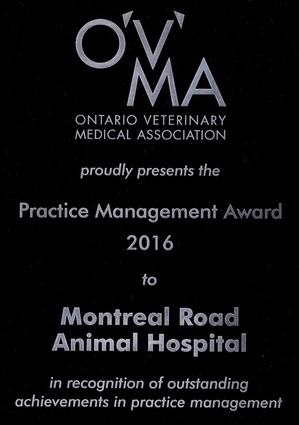 Montreal road animal hospital